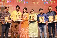 Dhamaka 100 Crore Massive Festival Celebrations